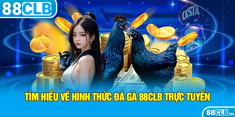 Tìm hiểu về hình thức đá gà 88CLB trực tuyến