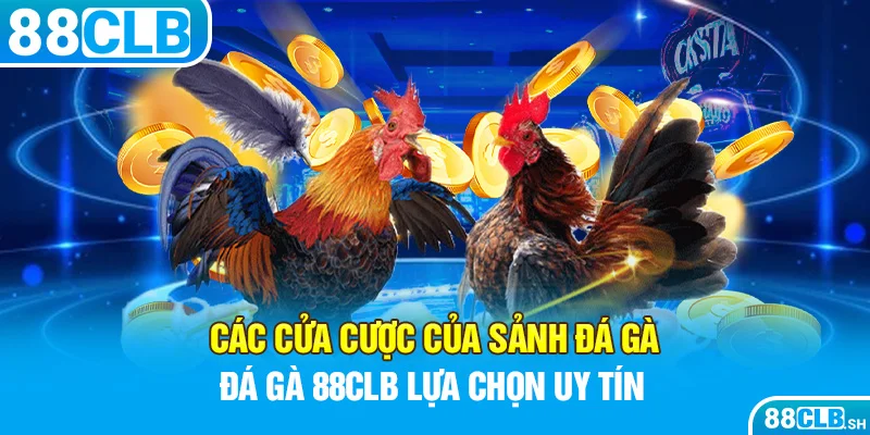 Các cửa cược của đá gà 88CLB